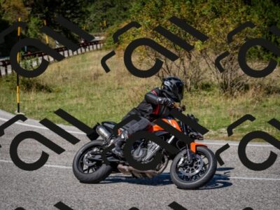 202509061224-DSC_1194_c2