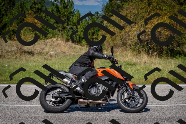 202509061224-DSC_1195_c2