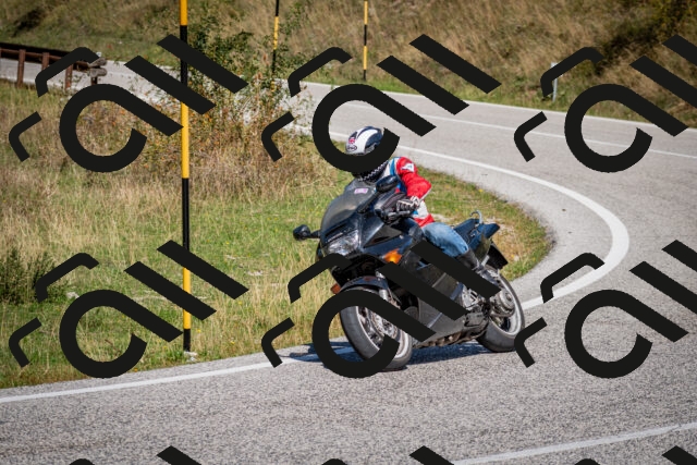 202509061225-DSC_1199_c2