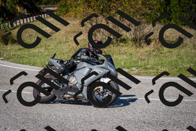 202509061225-DSC_1209_c2