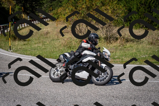 202509061225-DSC_1212_c2