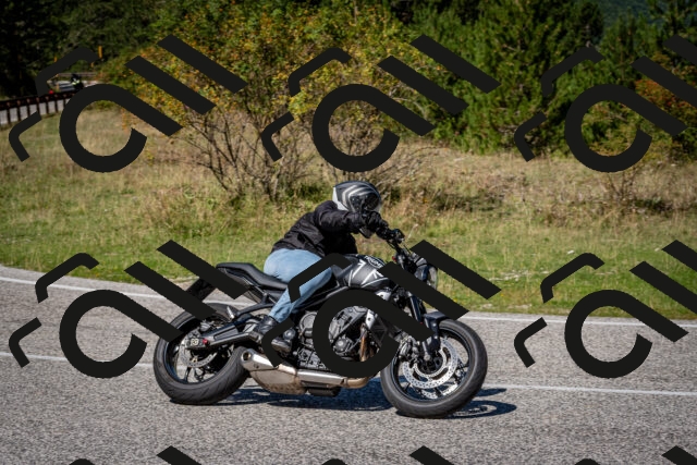 202509061226-DSC_1219_c2