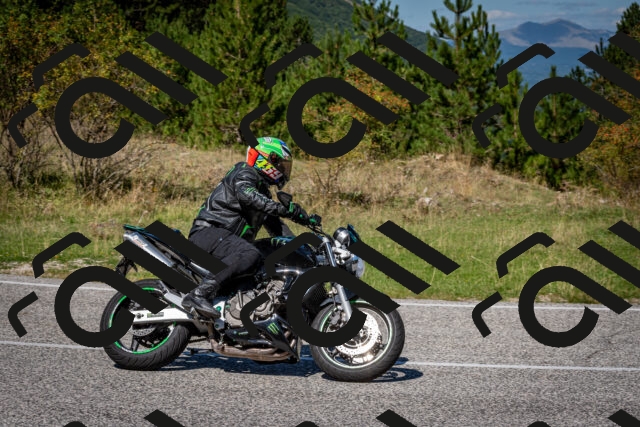 202509061226-DSC_1234_c2