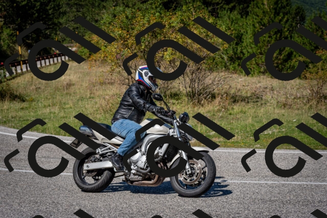 202509061227-DSC_1236_c2