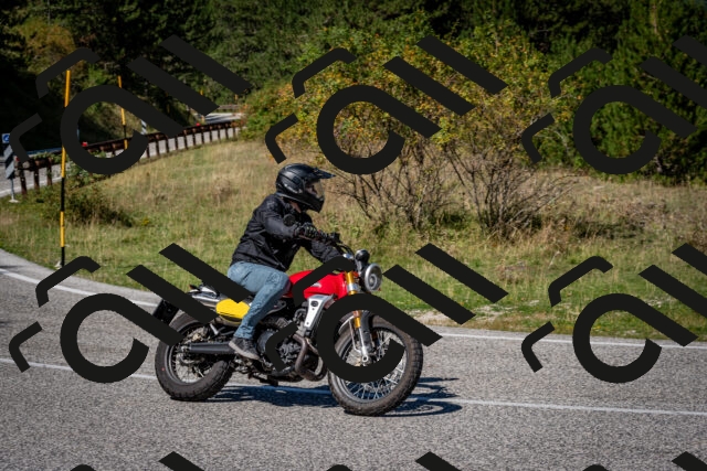 202509061227-DSC_1237_c2