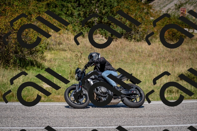 202509061227-DSC_1243_c2