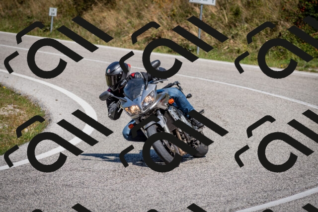 202509061228-DSC_1256_c2