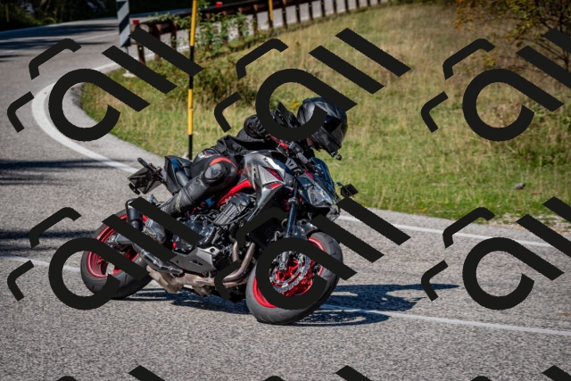 202509061228-DSC_1259_c2