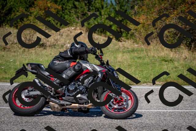 202509061228-DSC_1260_c2