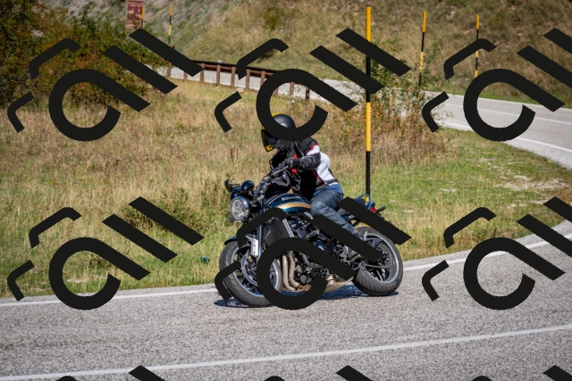 202509061228-DSC_1265_c2