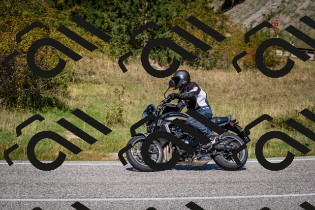 202509061228-DSC_1266_c2