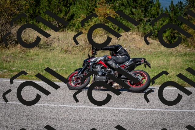 202509061229-DSC_1273_c2