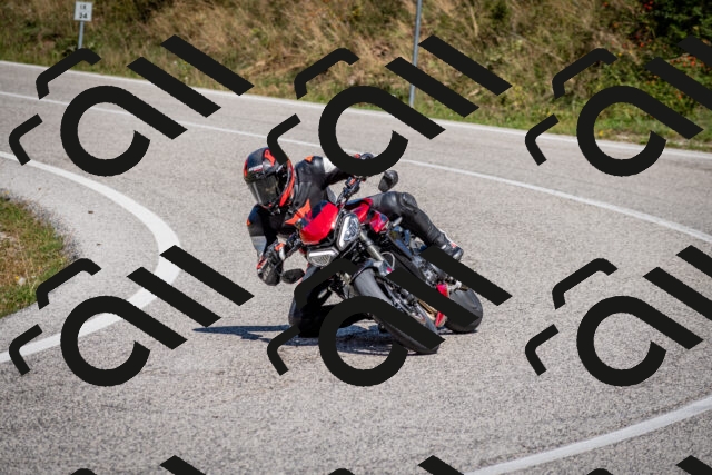 202509061229-DSC_1274_c2