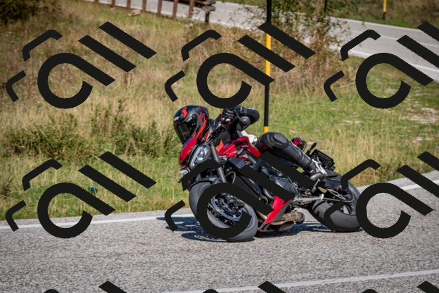 202509061229-DSC_1275_c2