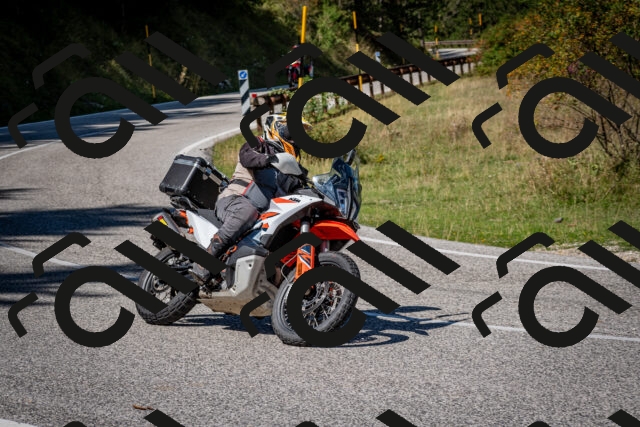 202509061229-DSC_1280_c2