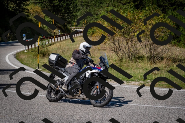 202509061229-DSC_1283_c2