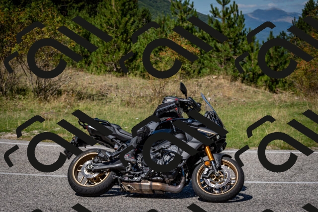 202509061229-DSC_1288_c2