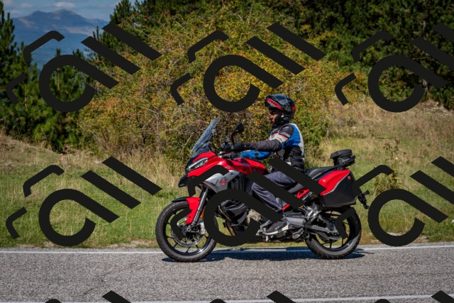 202509061230-DSC_1305_c2