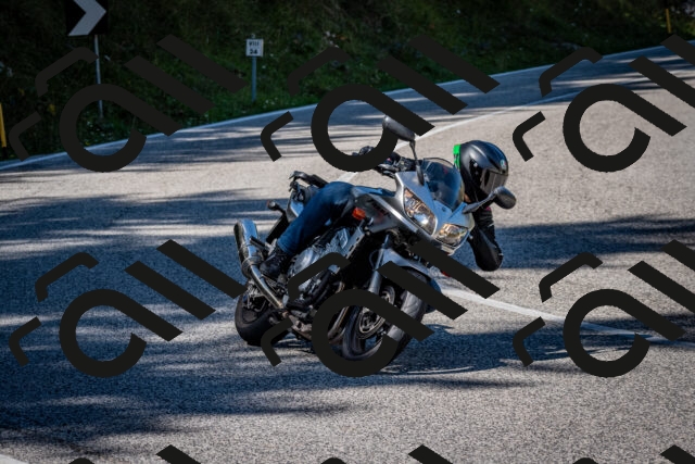 202509061230-DSC_1306_c2