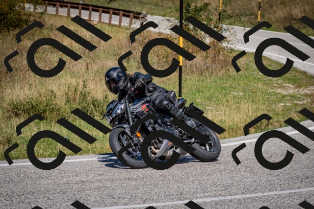 202509061231-DSC_1313_c2