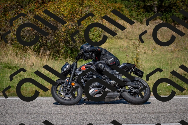 202509061231-DSC_1314_c2