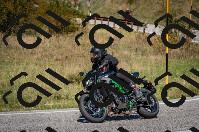 202509061231-DSC_1322_c2