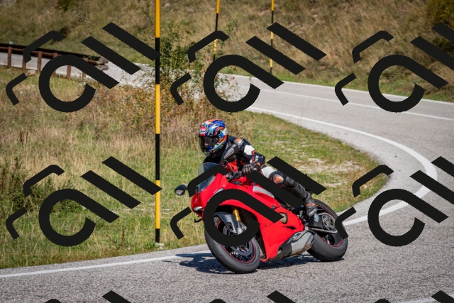 202509061231-DSC_1325_c2