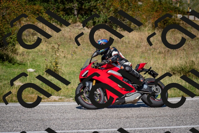 202509061231-DSC_1326_c2