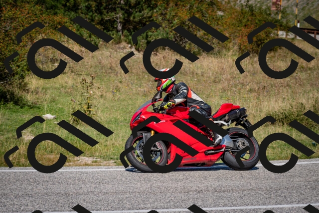 202509061231-DSC_1328_c2