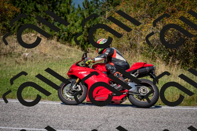 202509061231-DSC_1329_c2