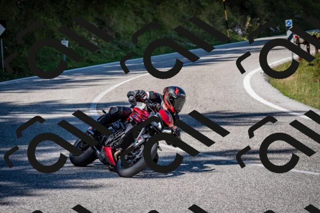 202509061231-DSC_1332_c2