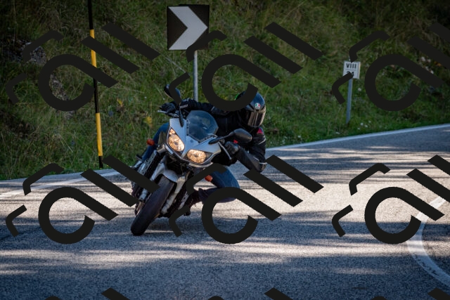 202509061232-DSC_1337_c2