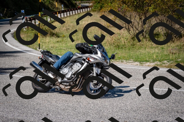 202509061232-DSC_1338_c2