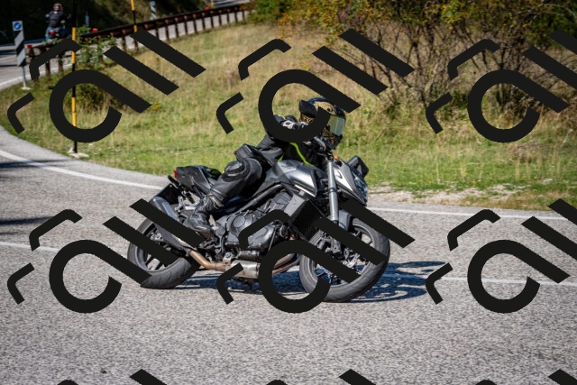 202509061234-DSC_1361_c2