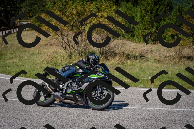 202509061235-DSC_1386_c2