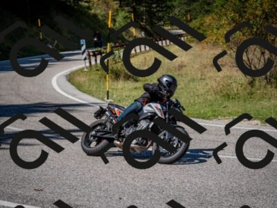 202509061235-DSC_1388_c2