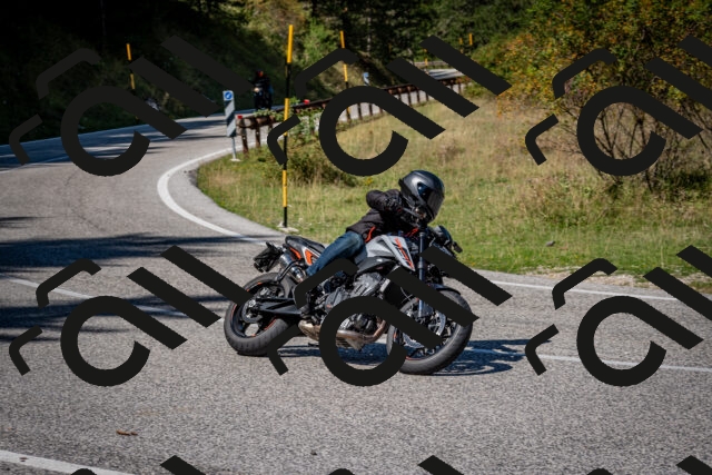 202509061235-DSC_1388_c2