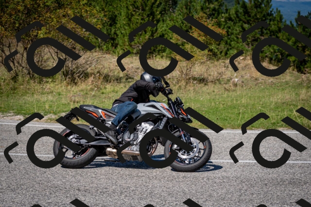 202509061235-DSC_1389_c2