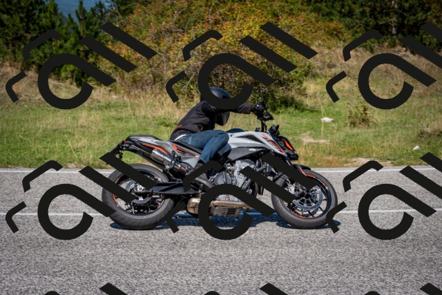 202509061235-DSC_1390_c2