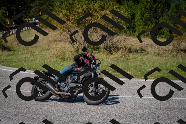 202509061236-DSC_1391_c2