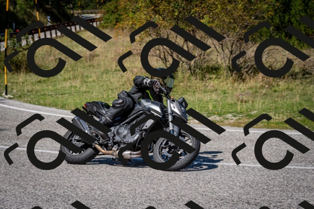 202509061236-DSC_1393_c2