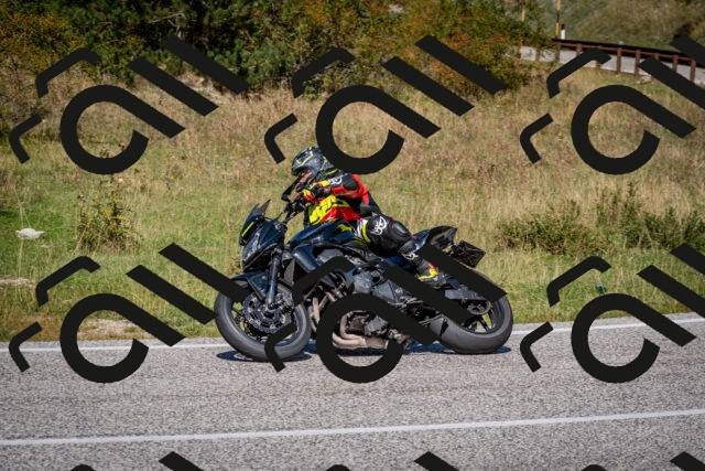 202509061236-DSC_1398_c2