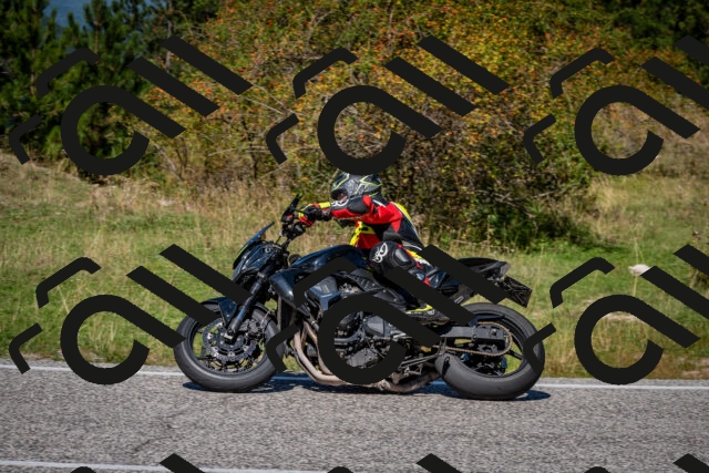 202509061236-DSC_1399_c2