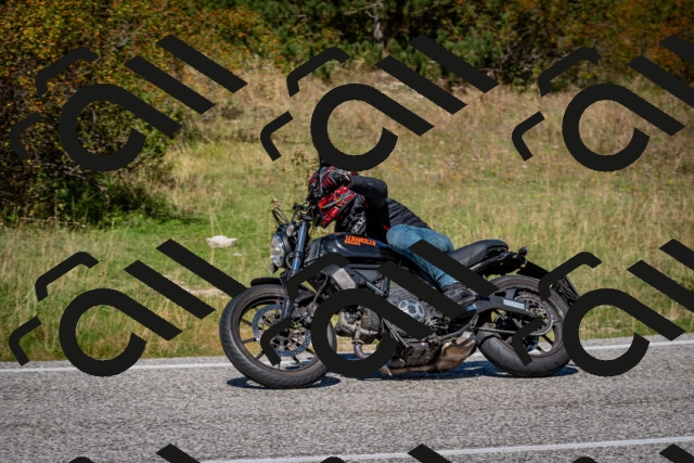 202509061236-DSC_1406_c2