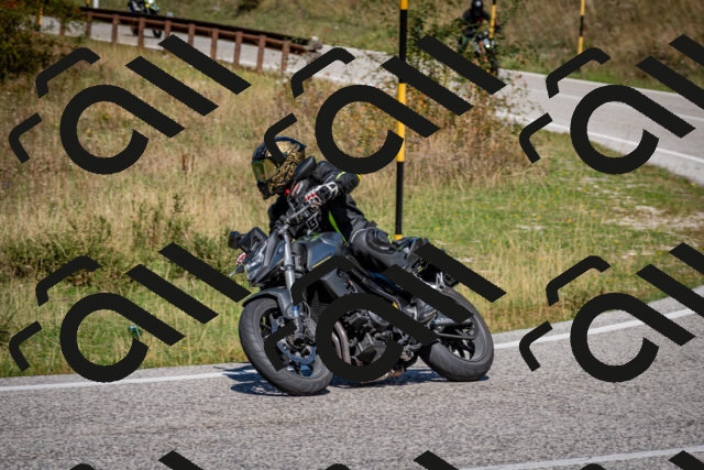 202509061236-DSC_1409_c2