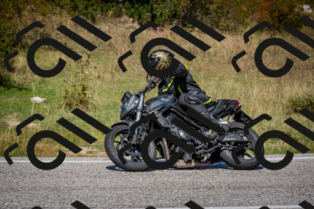 202509061236-DSC_1410_c2