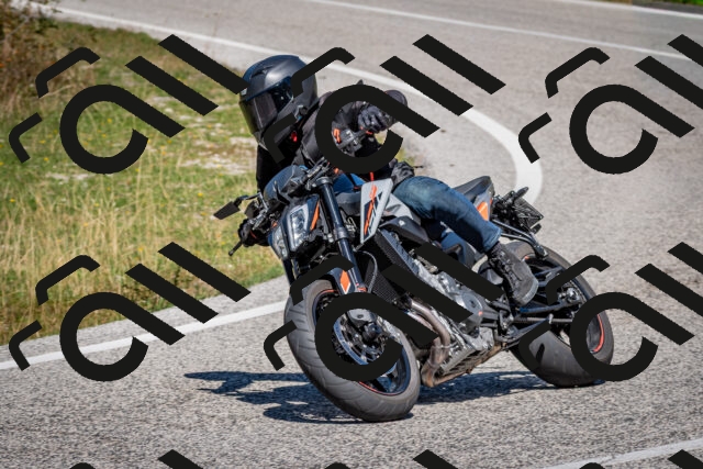 202509061237-DSC_1412_c2