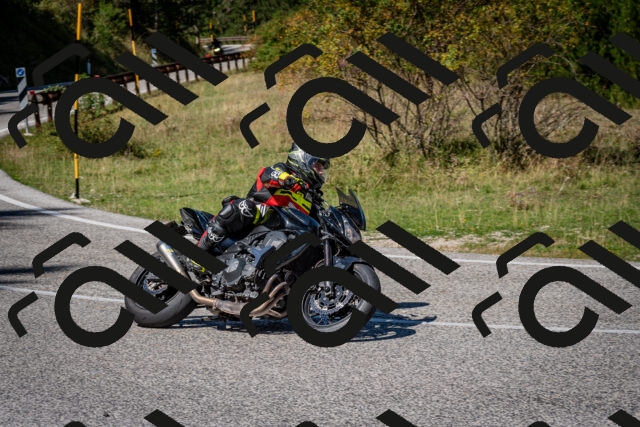 202509061237-DSC_1417_c2