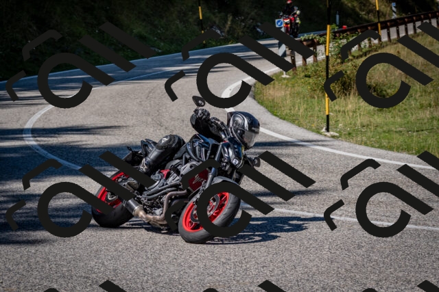 202509061237-DSC_1418_c2