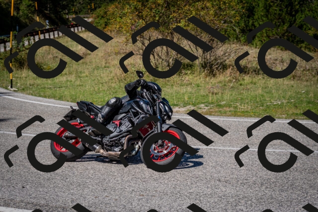 202509061237-DSC_1419_c2